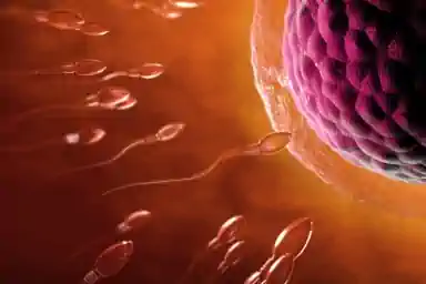 Sexuálne problémy